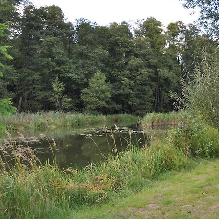 Villa Mlyn Wodny Eko Hillar Rybno  Esterno foto