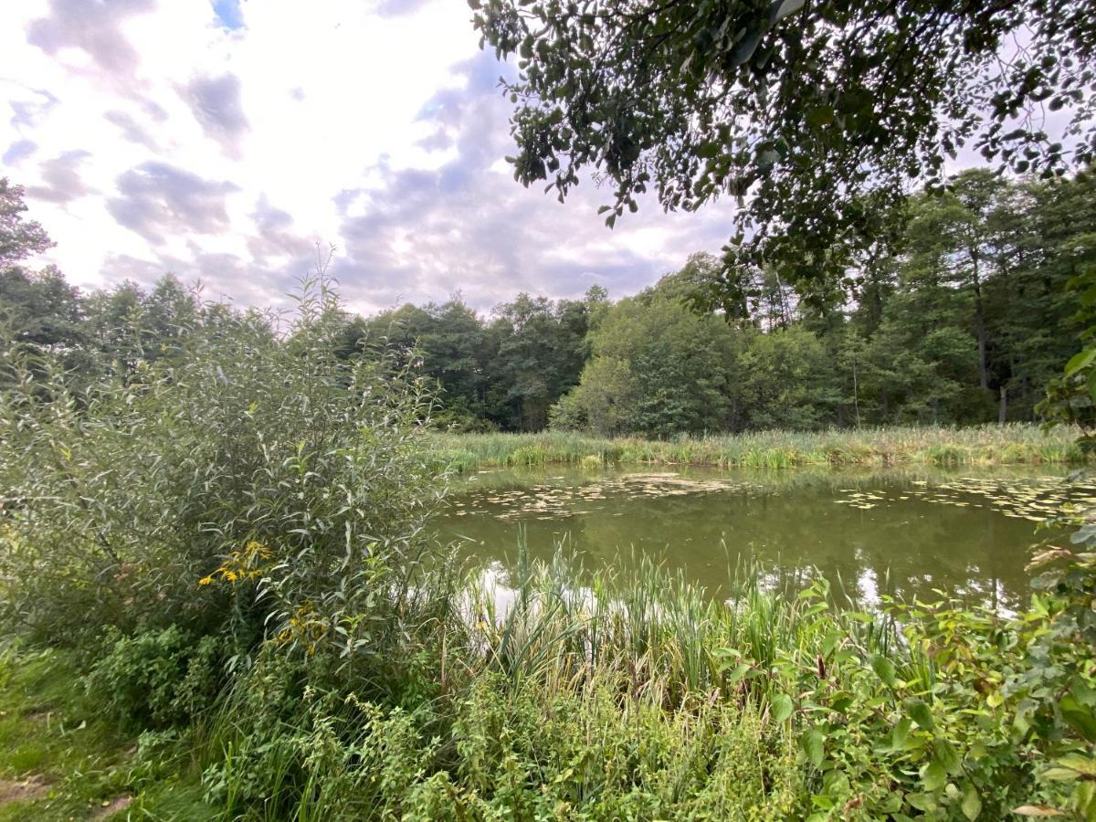 Villa Mlyn Wodny Eko Hillar Rybno  Esterno foto