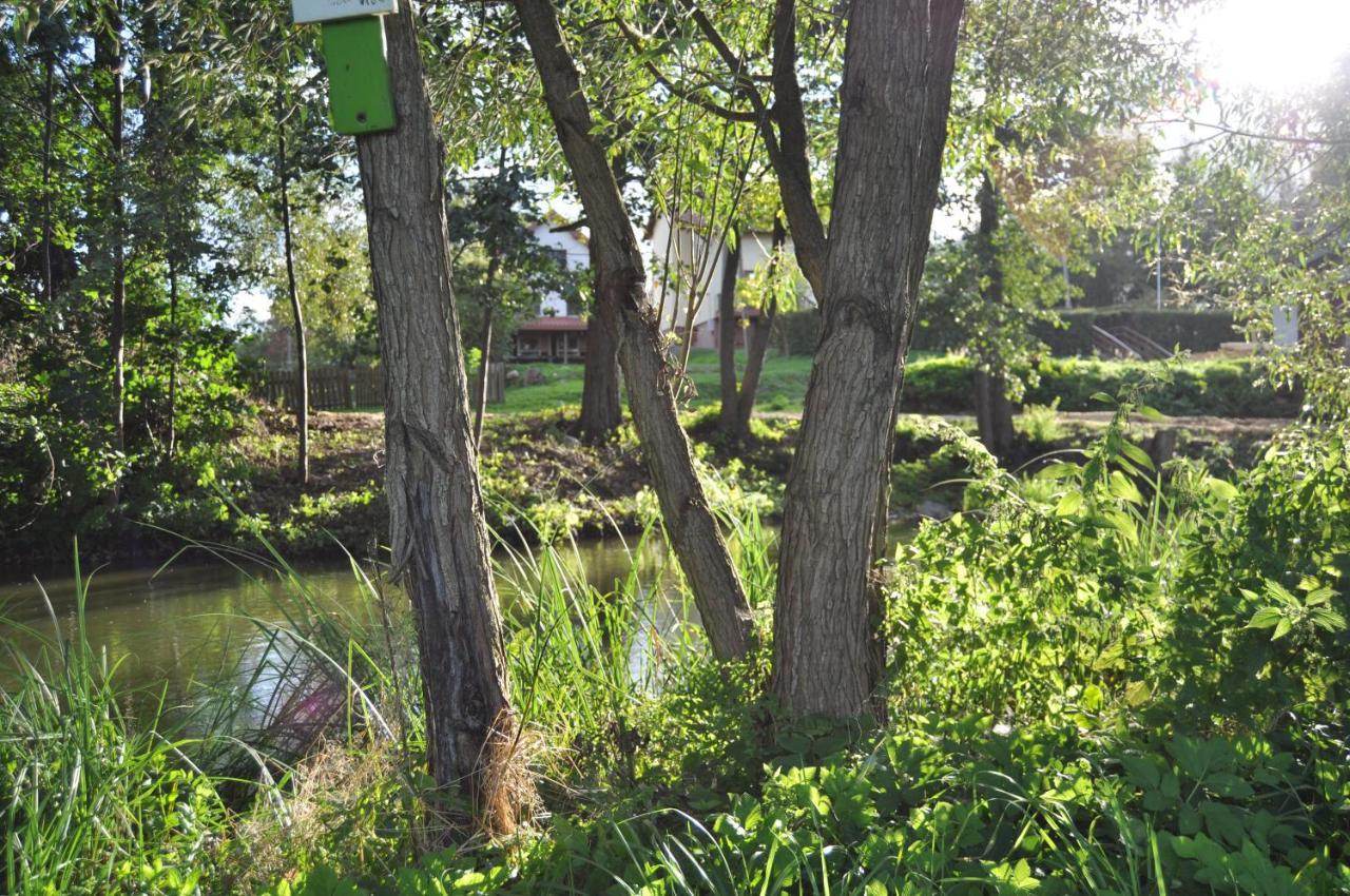 Villa Mlyn Wodny Eko Hillar Rybno  Esterno foto