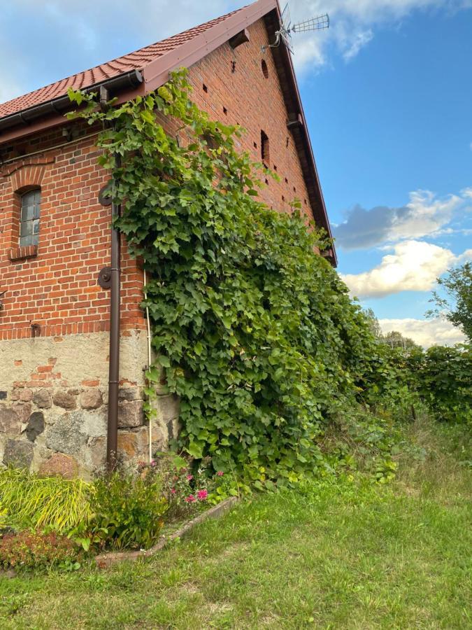 Villa Mlyn Wodny Eko Hillar Rybno  Esterno foto